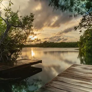 Lodge Yaxchen Eco Lodge&cenote, Tulum